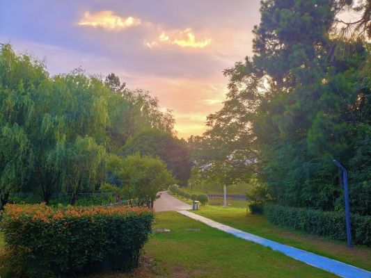 宣城海螺王明，油畫(huà)_副本